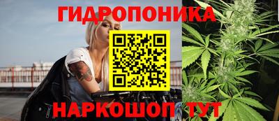 крисы Дубна