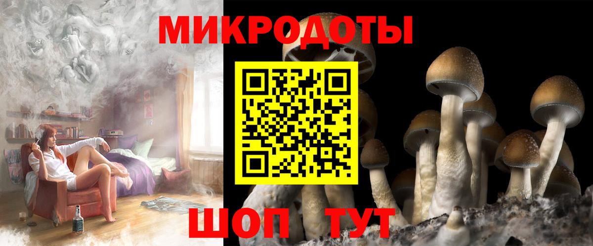 Галлюциногенные грибы Psilocybe  Вход с VPN  Нижневартовск 